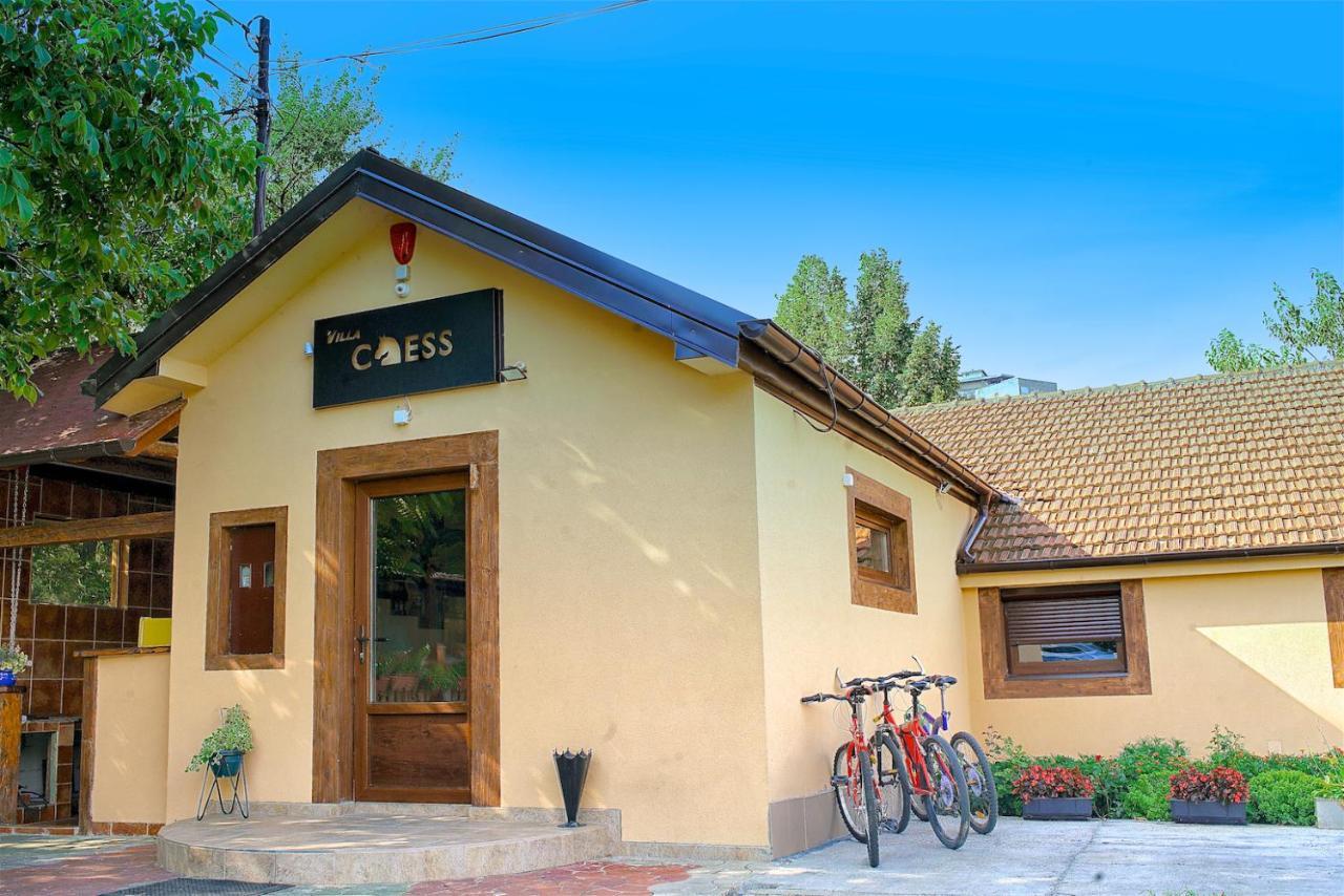 בלגרד Vila Chess מראה חיצוני תמונה